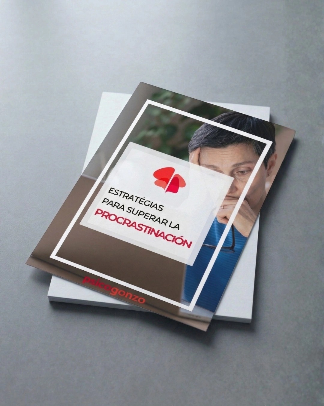 PGZ REC GUIA AFTM 01 cover